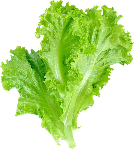 Sapore%20Café%20&%20Restaurant